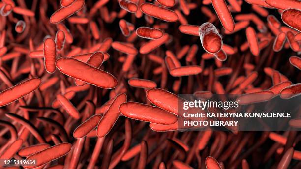 stockillustraties, clipart, cartoons en iconen met whooping cough bacteria, illustration - kinkhoest