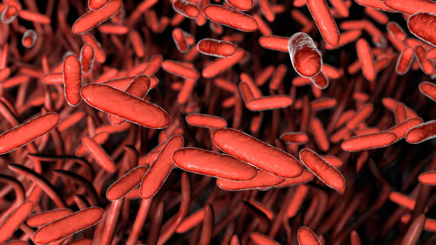 whooping cough bacteria, illustration - whooping-cough stock illustrations