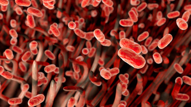 whooping cough bacteria, illustration - whooping-cough stock illustrations