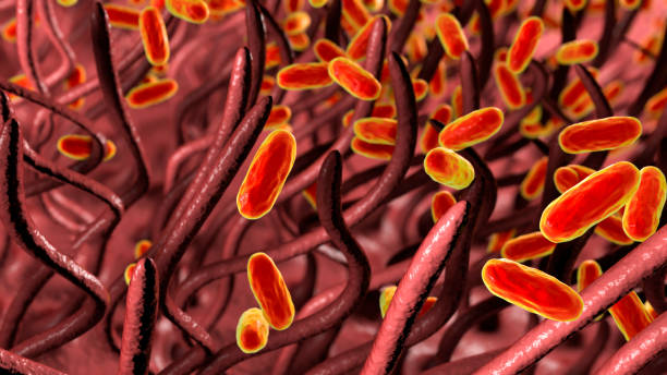 whooping cough bacteria, illustration - whooping-cough stock illustrations