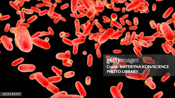 stockillustraties, clipart, cartoons en iconen met whooping cough bacteria, illustration - kinkhoest