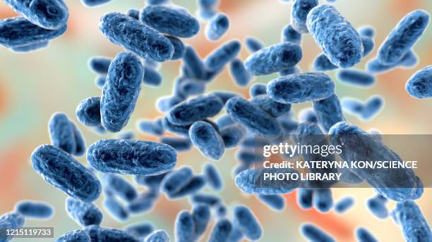 stockillustraties, clipart, cartoons en iconen met whooping cough bacteria, illustration - kinkhoest