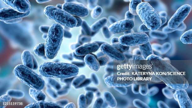 stockillustraties, clipart, cartoons en iconen met whooping cough bacteria, illustration - staafvorm