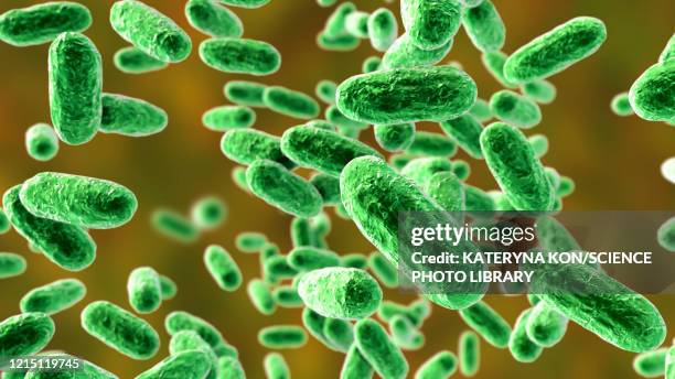 stockillustraties, clipart, cartoons en iconen met whooping cough bacteria, illustration - kinkhoest