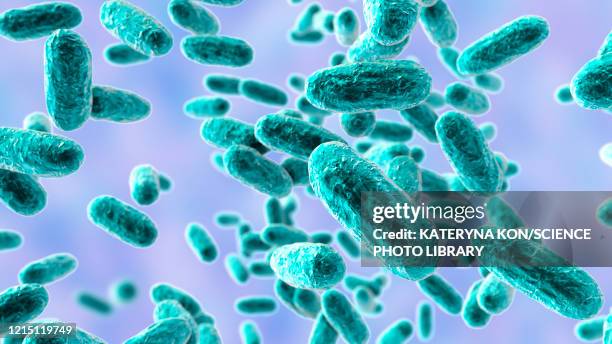 stockillustraties, clipart, cartoons en iconen met whooping cough bacteria, illustration - kinkhoest