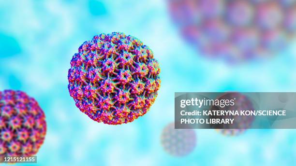 172 Ilustraciones de Virus Del Papiloma Humano - Getty Images 172 Ilustraciones de Virus Del Papiloma Humano - Getty Images