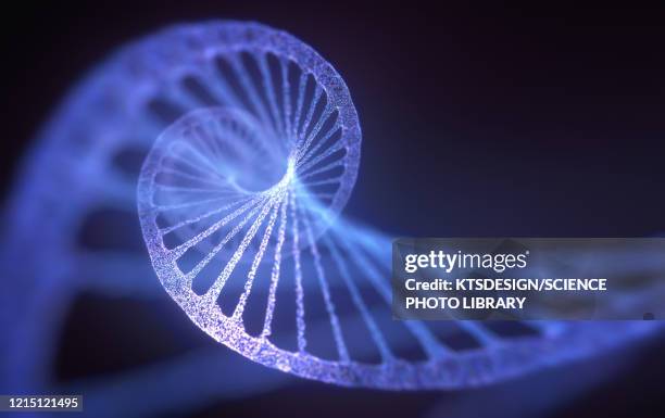 dna molecule, illustration - dna helix stock pictures, royalty-free photos & images