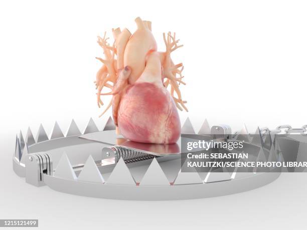 heart in a bear trap, illustration - bear trap stock illustrations