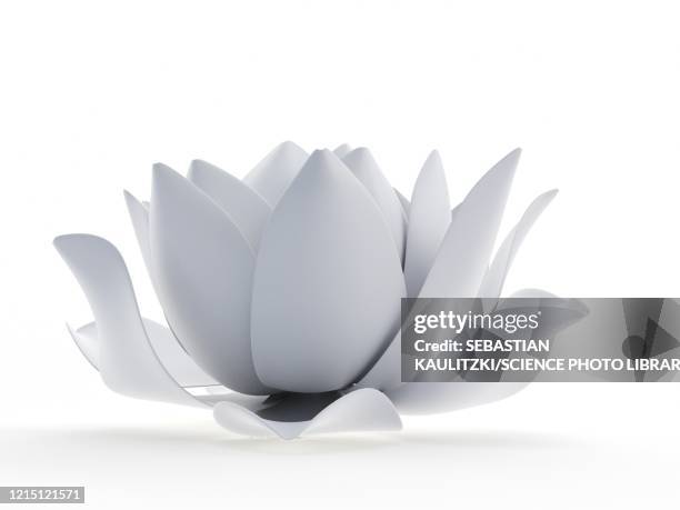 lotus flower, illustration - lotus stock illustrations