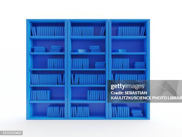 2 136点の本棚イラスト素材 Getty Images 2 136点の本棚イラスト素材 Getty Images