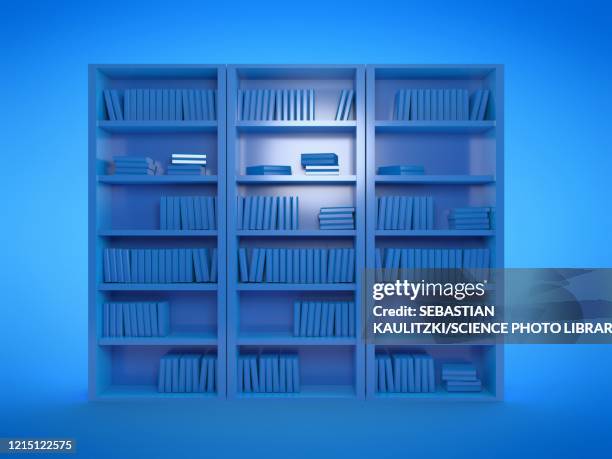 illustrazioni stock, clip art, cartoni animati e icone di tendenza di book shelves, illustration - mensola per libri