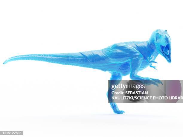Rex Mathre 1,366 Rex Walker Stock Photos, High-Res Pictures, and Images - Getty Images