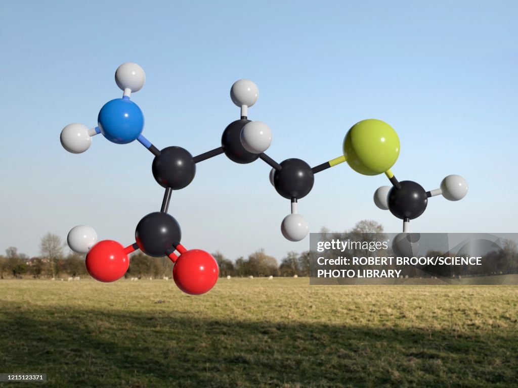 Methionine molecule, illustration.