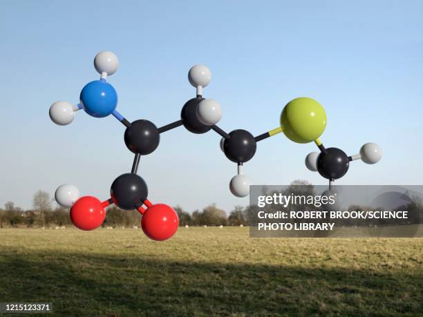 methionine molecule, illustration. - amine stock pictures, royalty-free photos & images