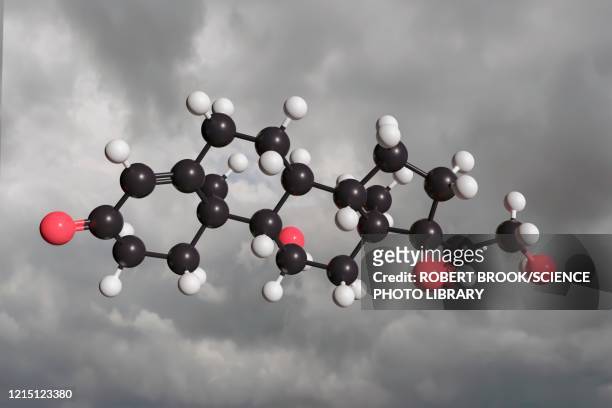cortisol, illustration. - molecule carbon stock pictures, royalty-free photos & images