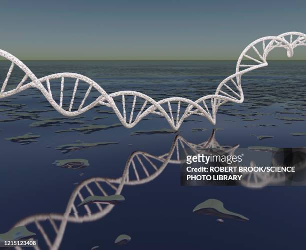 dna over water, illustration - astrobiology stock pictures, royalty-free photos & images