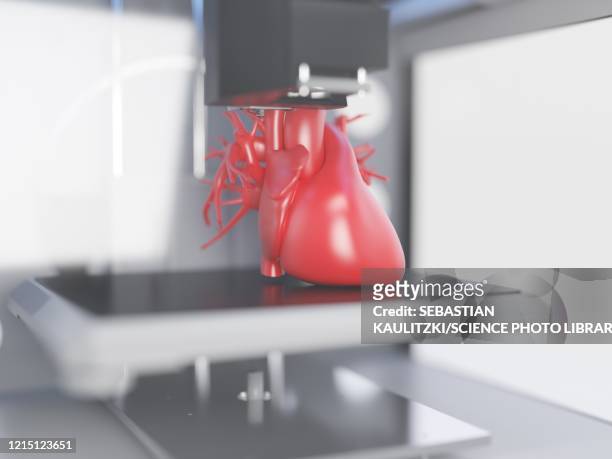 3d printer printing a heart, illustration - cardiac muscle tissue stock illustrations