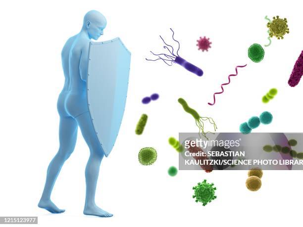 ilustraciones, imágenes clip art, dibujos animados e iconos de stock de immune system, conceptual illustration - sistema inmunologico