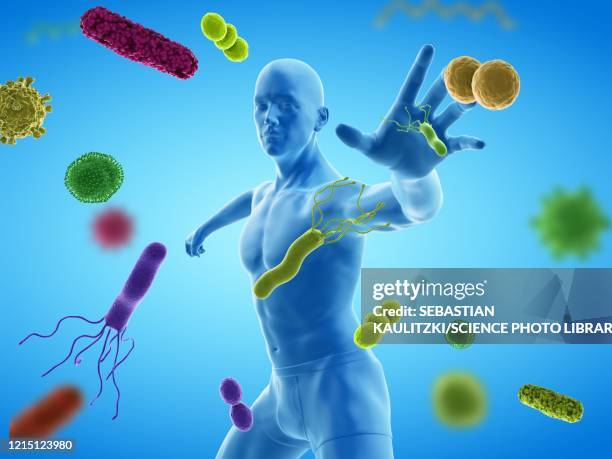 illustrazioni stock, clip art, cartoni animati e icone di tendenza di immune system, conceptual illustration - sistema immunitario