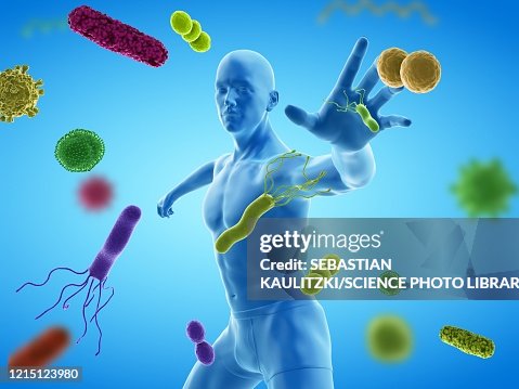 Immune system, conceptual illustration Immune system, conceptual illustration