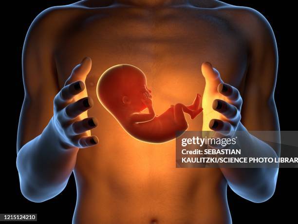 man holding a fetus, illustration - human embryo stock illustrations
