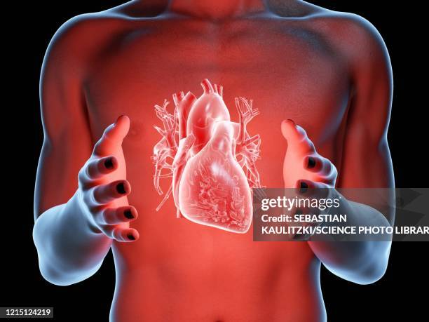 man holding a heart, illustration - cardiologist heart stock illustrations
