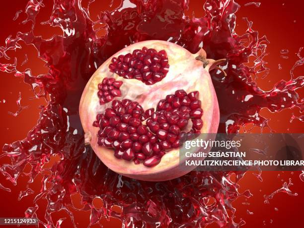 pomegranate splash, illustration - fruit explosion stock illustrations