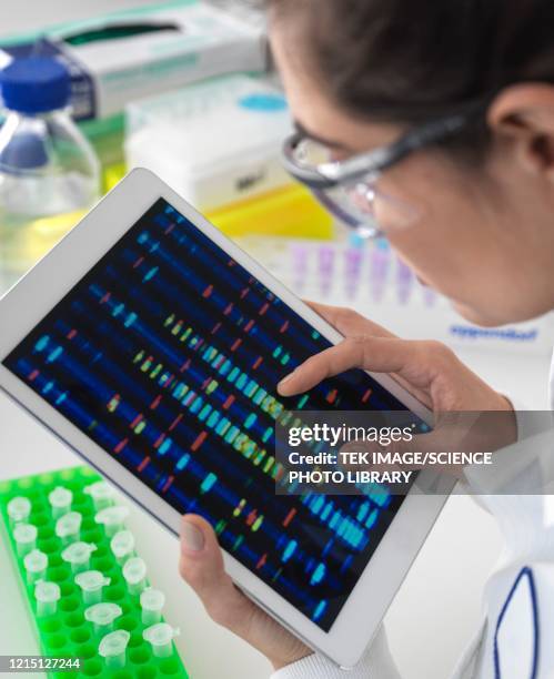 Science Research Screen Photos and Premium High Res Pictures - Getty Images