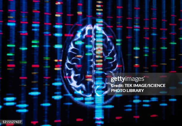 genetic research, conceptual image - neurowissenschaften stock-fotos und bilder