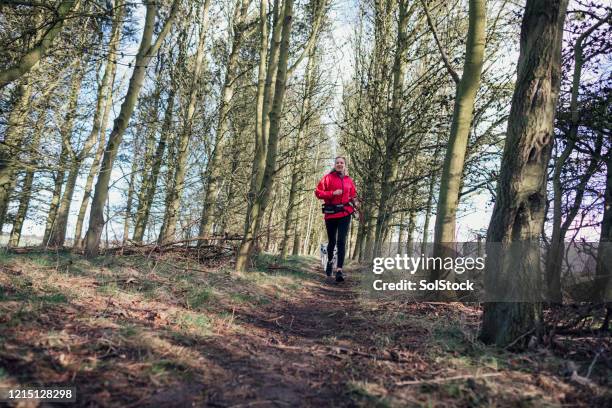 rural run - animal harness stock pictures, royalty-free photos & images