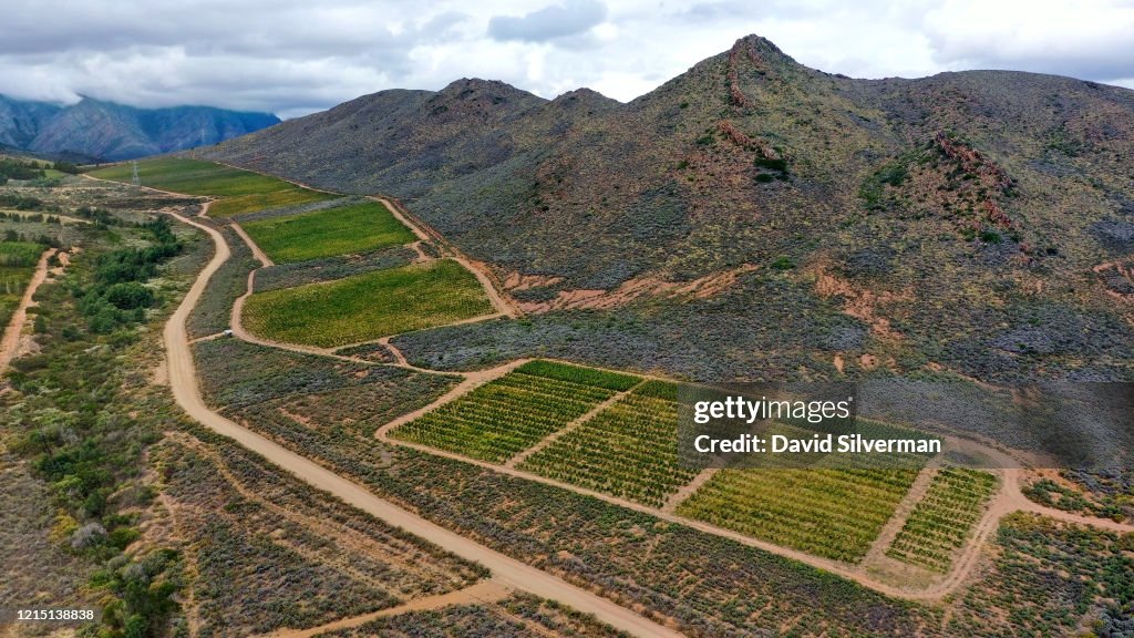 Aerial Views Of Western Cape Winelands