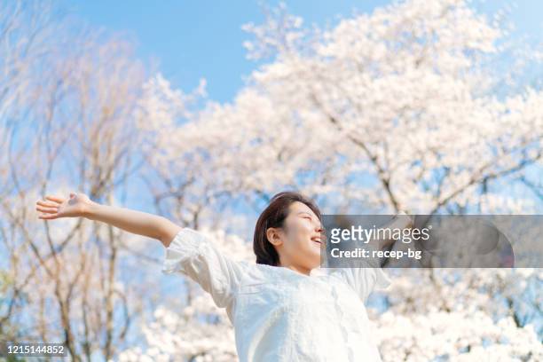 young woman stretching her arms in air under sakura tree - cherry blossoms in full bloom in tokyo stock pictures, royalty-free photos & images