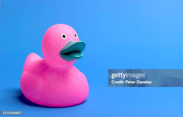 pink rubber duck on blue background with copy space - rubber duck stock pictures, royalty-free photos & images