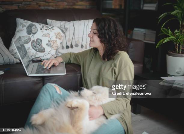 beautiful young woman working at home with dog - dog homework stock pictures, royalty-free photos & images