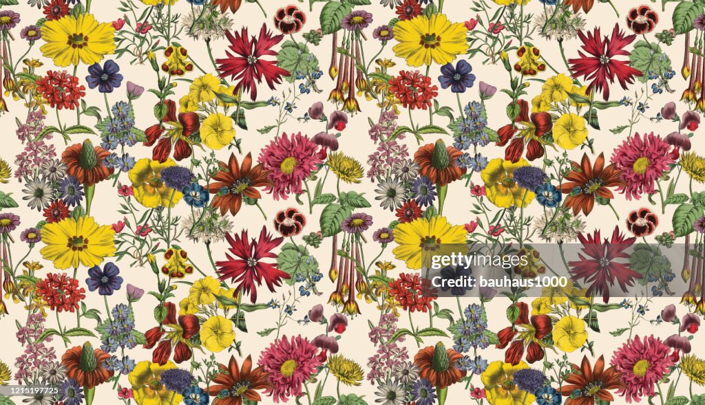 Repeating Patterns In Flowers
