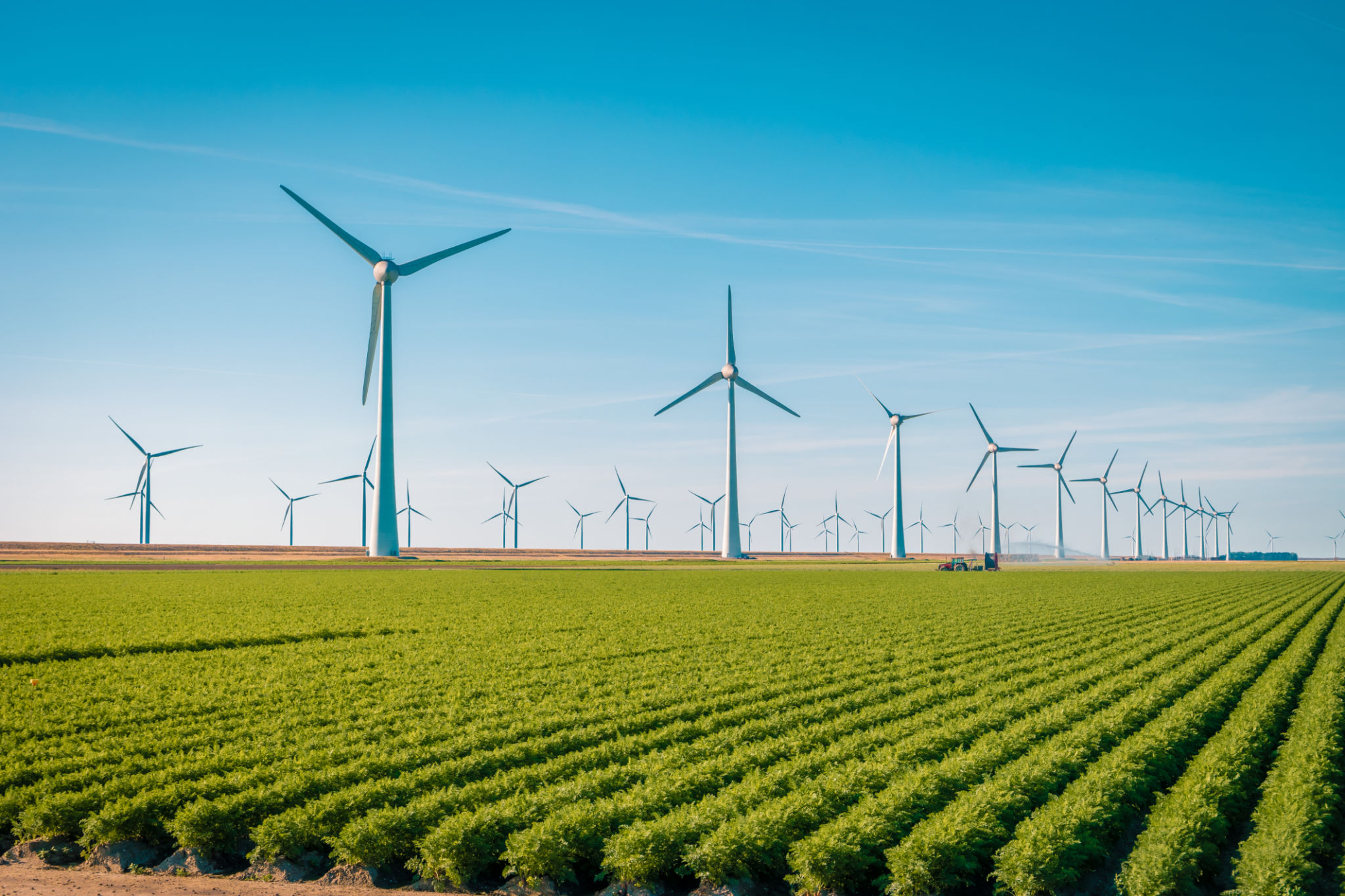 sustainability Netherlands