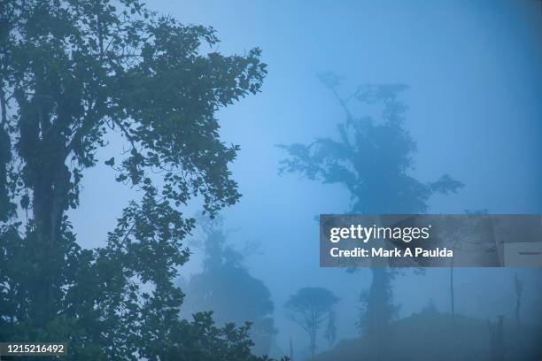 fog engulfs tropical andes mountain scene - engulfs stock pictures, royalty-free photos & images