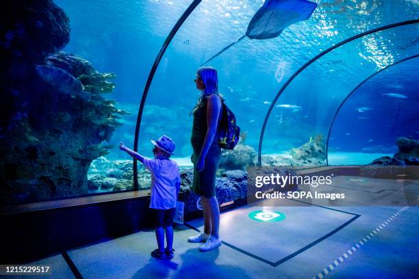 Mother and her kid at a marked social distancing spot for taking pictures inside the aquarium at the zoo. Diergaarde Blijdorp will reopen in phases,...