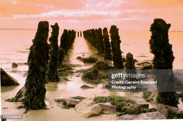 Cardiff Spring Cardiff Spring Photos and Premium High Res Pictures - Getty Images