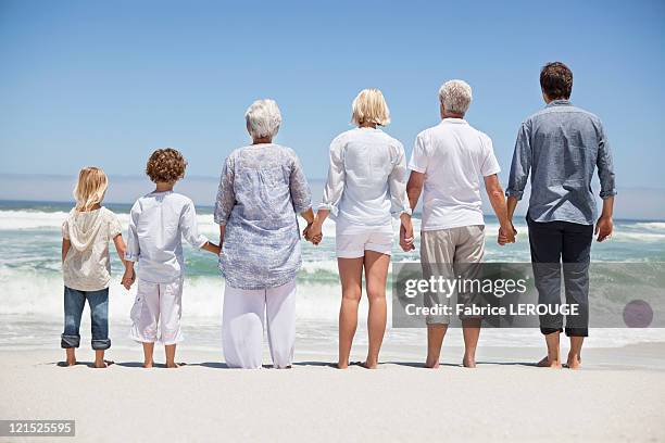 rear view of a family looking at sea view from beach - menschenreihe stock-fotos und bilder