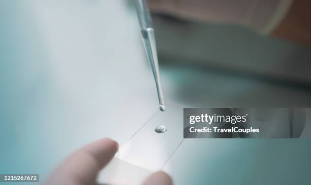 science and medicine. scientist analyzing and dropping a sample into a glassware. experiments containing chemical liquid in laboratory on glassware. dna structure. innovative and technology. - hand with gift stock-fotos und bilder