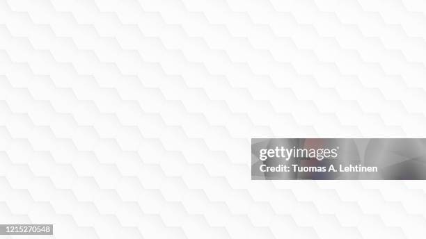 white and light gray hexagon pattern on white. - alvéoles photos et images de collection