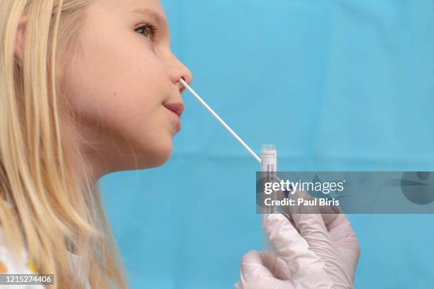 coronavorus covid-19 virus (sars-cov-2) tests based on swabs from  nasopharyngeal (np) sampling - long nose stockfoto's en -beelden