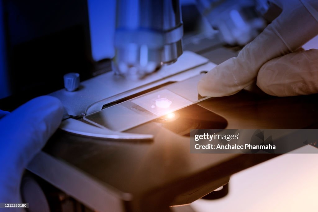 Laboratory Concept Closed Up Picture Of Testing By Microscope In The ...