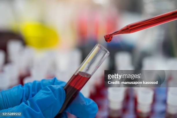 scientist hand holding test tube with blood in laboratory. - 人間の血液 ストックフォトと画像