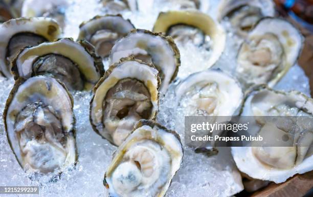 fresh opened oysters in ice on a black stone textured background. top view. close-up shot. - afrodisíaco fotografías e imágenes de stock