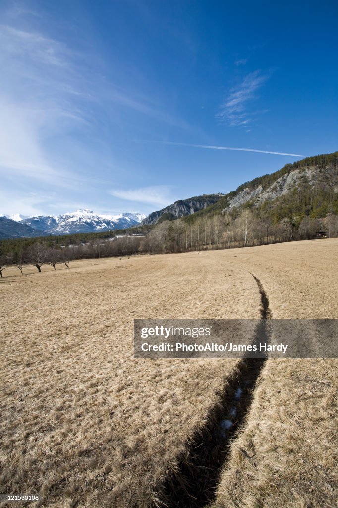 Track in the middle of meadow