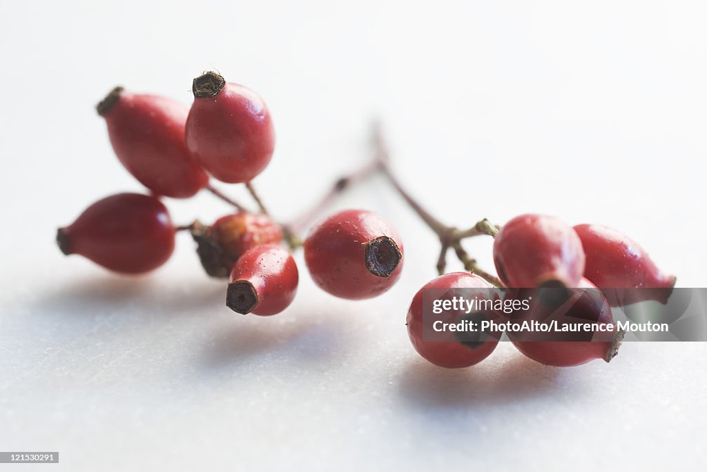 Rose hips