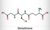 Glutathione, GSH, C10H17N3O6S molecule. It is an important antioxidant in plants, animals and some bacteria. Structural chemical formula