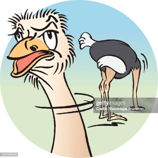 ostrich burying head in sand - head in the sand ostrich stock pictures, royalty-free photos & images